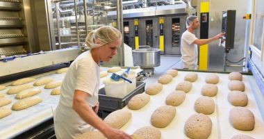 Stire din Economie : Producţie record de cereale în 2021. Fermierii, nevoiți să vândă grâul la export!