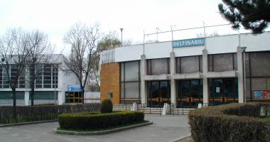 Stire din Social : Se fac modernizări la Delfinariu. Reprezentațiile, suspendate în această perioadă