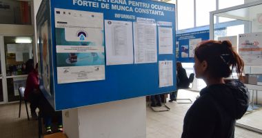 AJOFM, semnal de alarmă referitor la unele locuri de muncă! "Avem probleme cu angajatorii mai mici" - 2