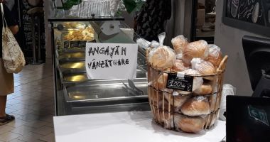 Stire din Economie : Criza forței de muncă este mult mai gravă decât o arată raportările oficiale