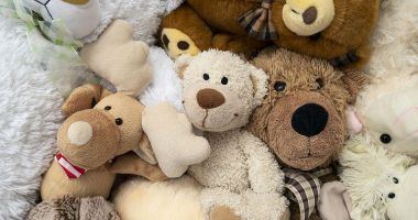 Stire din Eveniment : Mii de jucării de pluş etichetate "made in China", făcute din materiale cancerigene au fost confiscate