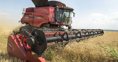 Județul Constanța, în top 5 al producătorilor de cerale