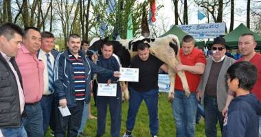 Galerie foto. Când vor avea loc luptele tătărești Kureș organizate de UDTTMR - 3