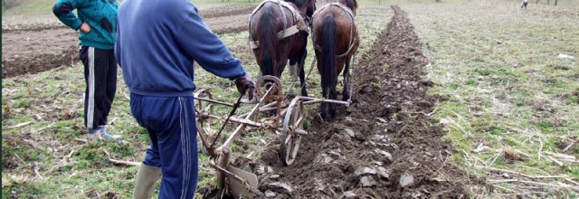 Ne-așteptă încă o jumătate de secol de agricultură de subzistență