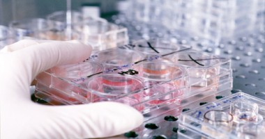 LABORATOARE DE ANALIZE CU FIȘE FICTIVE, LA CONSTANȚA
