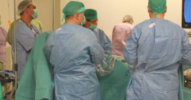 Stire din Sănătate : La ce pericole medicale se supun iubitorii de animale
