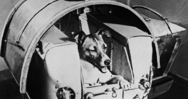 GALERIE FOTO / Cățelușa Laika, comemorată la 60 de ani după ce a fost trimisă în spațiu - 4