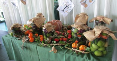 Cu mic, cu mare la "Festivalul toamnei", la Lake View - 9