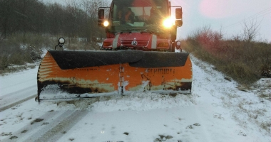 NINSORI VISCOLITE LA CONSTANȚA / Se intervine în forță