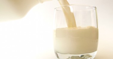 Stire din Diverse : Lactatele, esențiale în hrana copiilor