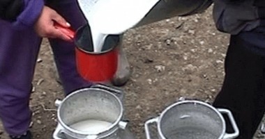 Stire din Economie : Ce amenzi riscă producătorii  și cumpărătorii de lapte