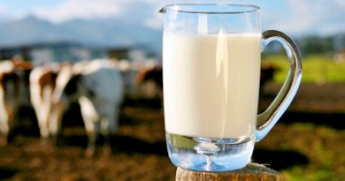 Stire din Diverse : Lapte CONTAMINAT cu aflatoxină, în cinci unități din România