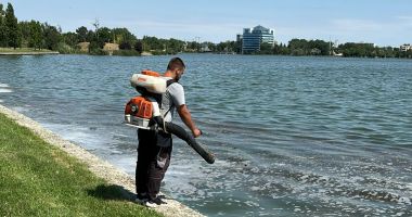 Stire din Social : Încep acțiuni de delarvizare pe malurile lacurilor Siutghiol și Tăbăcărie