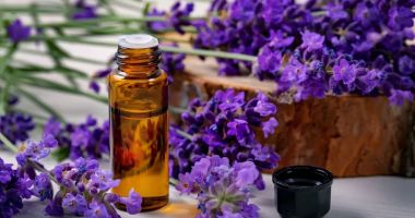 Stire din Sănătate : Lavanda îmbunătățește somnul şi poate preveni atacurile de panică