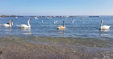 Stire din Actualitate : Vreme mai caldă decât normalul perioadei în Dobrogea și pe litoral
