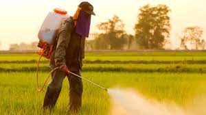Stire din Social : Utilizarea pesticidelor va fi interzisă în parcuri, școli și terenuri de sport!