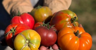 Stire din Social : Legume şi fructe stropite cu substanţe toxice, de opt ori peste limită! Ministrul Daea, despre măsurile dure ce vor fi luate