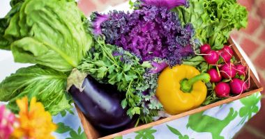 Stire din Economie : Cinci cooperative agricole vor livra legume în supermarketuri