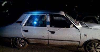 Cu topoare și drujbe! Tăieri ilegale  în pădurile constănțene - 4