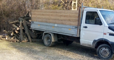 Lemne tăiate ilegal,  confiscate dintr-o camionetă, la Constanța - 2