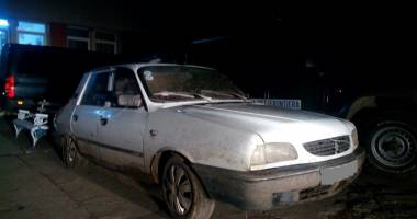 Cu topoare și drujbe! Tăieri ilegale  în pădurile constănțene - 2