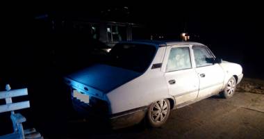 Cu topoare și drujbe! Tăieri ilegale  în pădurile constănțene - 3