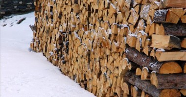 Romsilva ajută locuitorii Constanței cu lemne de foc