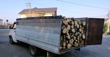 Stire din Eveniment : Captură făcută de jandarmi: un transport ilegal de lemne