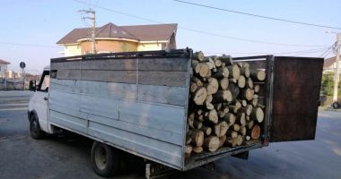 Stire din Eveniment : Bărbat cercetat pentru furt de arbori, la Constanța