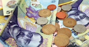 Stire din Economie : Leul a dat de pământ cu toate valutele