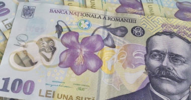 Leul a mușcat adânc din toate valutele