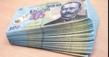 Stire din Economie : Leul este ciupit de euro și francul elvețian, dar mușcă adânc din dolar