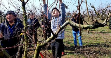 GALERIE FOTO. Elevi, studenți și fermieri au participat la demonstrații practice în livadă - 2