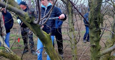 GALERIE FOTO. Elevi, studenți și fermieri au participat la demonstrații practice în livadă - 4