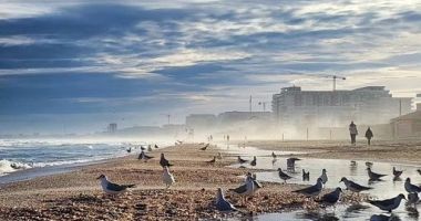 Stire din Social : Aproape 40 de subsectoare neatribuite anul trecut din stațiunea Mamaia, scoase la licitație