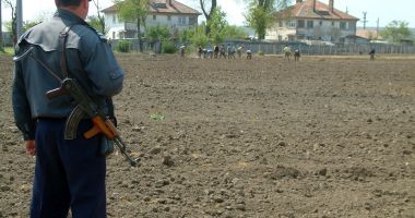 Stire din Eveniment : Bătăuși din Năvodari, condamnați la închisoare pentru sechestrarea unei persoane