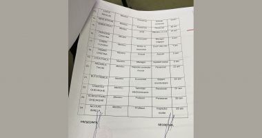 GALERIE FOTO / PSD Constanța își alege conducerea organizației municipale - 8