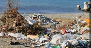 Stire din Social : Litoralul, luat cu asalt de voluntari dornici să aibă un țărm mai curat