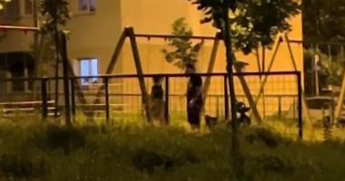 Stire din Eveniment : Bărbatul care şi-a bătut soţia într-un loc de joacă pentru copii a fost arestat