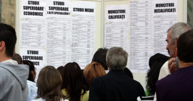 Stire din Politică-Administrație : Primăria Cernavodă și AJOFM au organizat o bursă  a locurilor de muncă