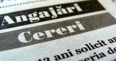 Stire din Social : Vrei să te angajezi? Iată unde ai șanse