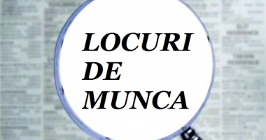Constănțeni, atenție. Locuri de muncă disponibile!