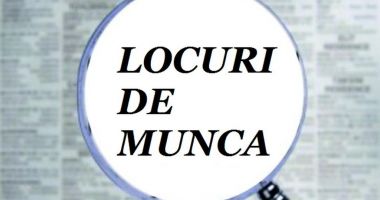 Stire din Social : Mii de oferte de muncă pentru șomeri