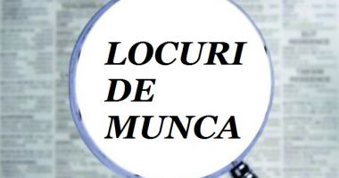 Stire din Social : Mii de locuri de muncă vacante pentru șomeri!