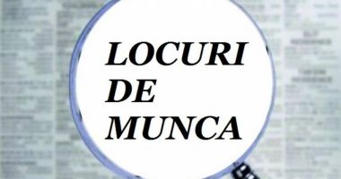 Stire din Social : Locuri de muncă vacante pentru șomeri. Iată care sunt ofertele!