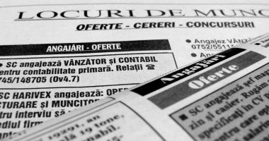 Stire din Social : Îți cauți un loc de muncă? Iată ce opțiuni ai