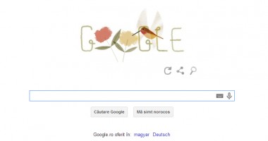 Stire din Social : Logo Google dedicat Zilei Internaționale a Pământului
