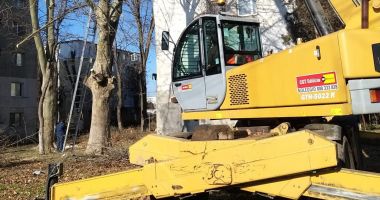 Stire din Social : Lucrările de toaletare și corecție a arborilor din Constanța continuă