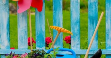 Stire din Diverse : Lucrări de sezon în grădina ta