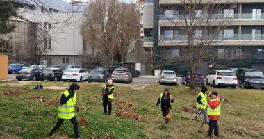 Stire din Social : Spațiile verzi din oraș, în plin proces de igienizare